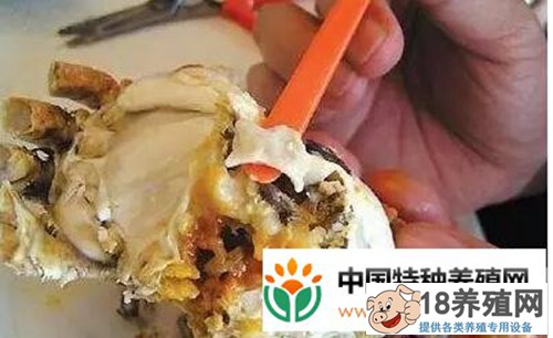 如何吃螃蟹和剥螃蟹的插图
_水产养殖(养大闸蟹的技巧)