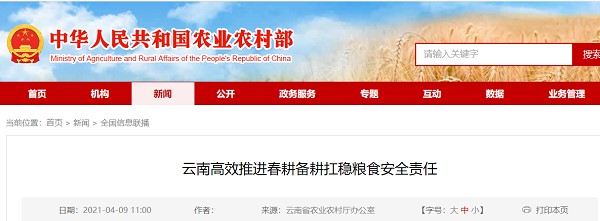 云南有效地促进了春耕和犁耕稳定粮食安全的责任
