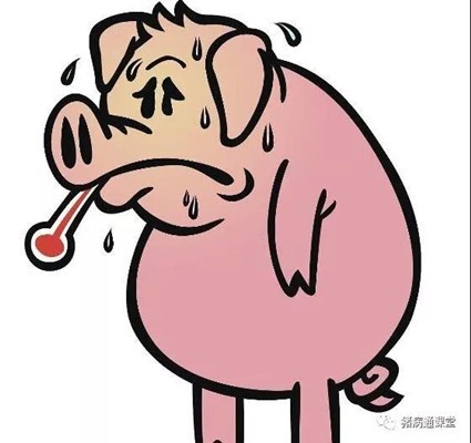 根据猪的呼吸信号判断疾病！
