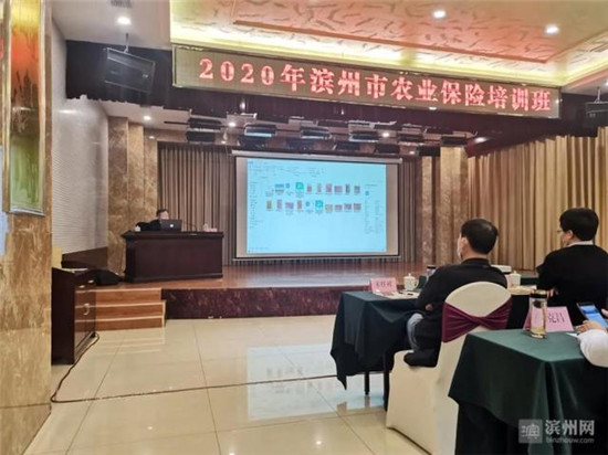 惠农政策的“大礼包”送出了农业效益,农民收入逐步增加