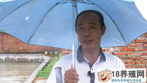 安徽省寿县崔伯昌养龟、卖龟蛋，年销售额600万
_水产养殖(养甲鱼的技巧)