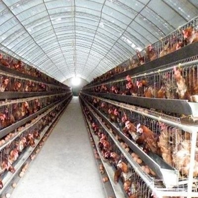 畜禽养殖场的常规方法
