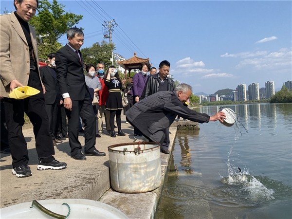 安徽黄山:增殖放流恢复渔业生态
