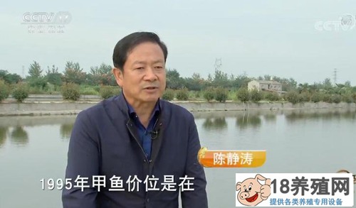 陈模仿野生甲鱼，翻了个身，年销售额超过6000万元
_水产养殖(养甲鱼的技巧)