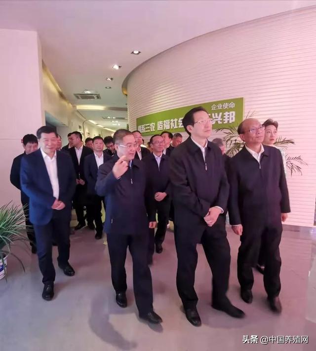 中国育种网独家报道:农业和农村事务部部长韩长福称赞正邦集团“扩大生产，保证供应”