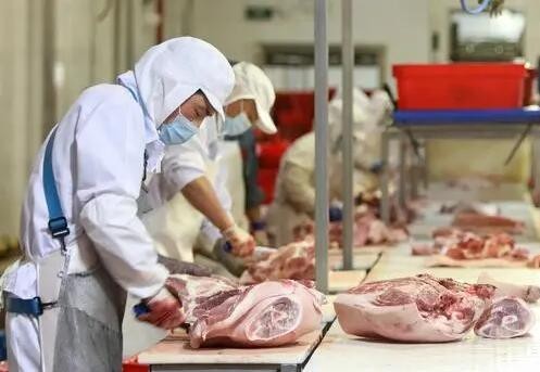 今年农民人数大幅减少。目前生猪产量恢复如何？第三、四季度肉价会怎么样？
