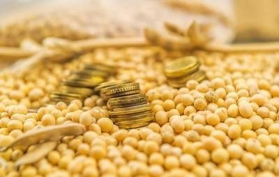 大豆还是“金豆”？购买价格每年上涨50%！这个期货价格创历史新高！还会涨吗？