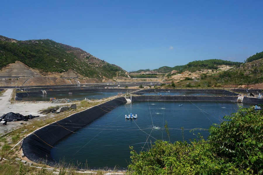 福建省水利科技站开展了水产养殖科普和下乡活动
