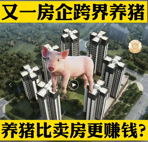 《鸡西观察》专栏:又一个房地产企业靠跨境养猪比卖房赚钱？
