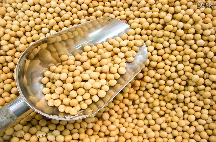 大豆改成了“金豆”。黑龙江大豆净粮装载量达到2.70元/公斤
