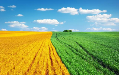 召开全国农业生产托管促进会如何解决“谁来种地”的问题？
