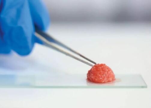中国首个“细胞培养肉”诞生，将人造肉市场分割1000亿元
