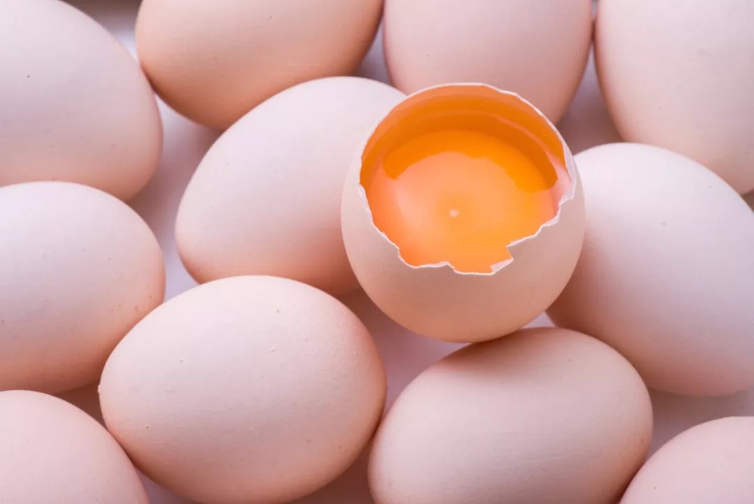 你找到影响鸡蛋价格走势的四个因素了吗？