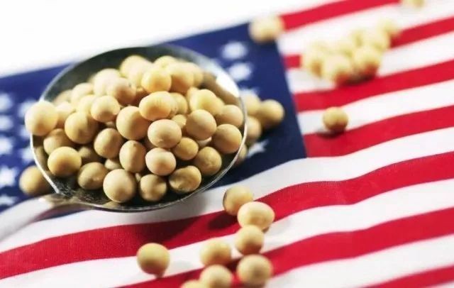 中国放缓美国大豆采购，未来贸易转向哪里？
