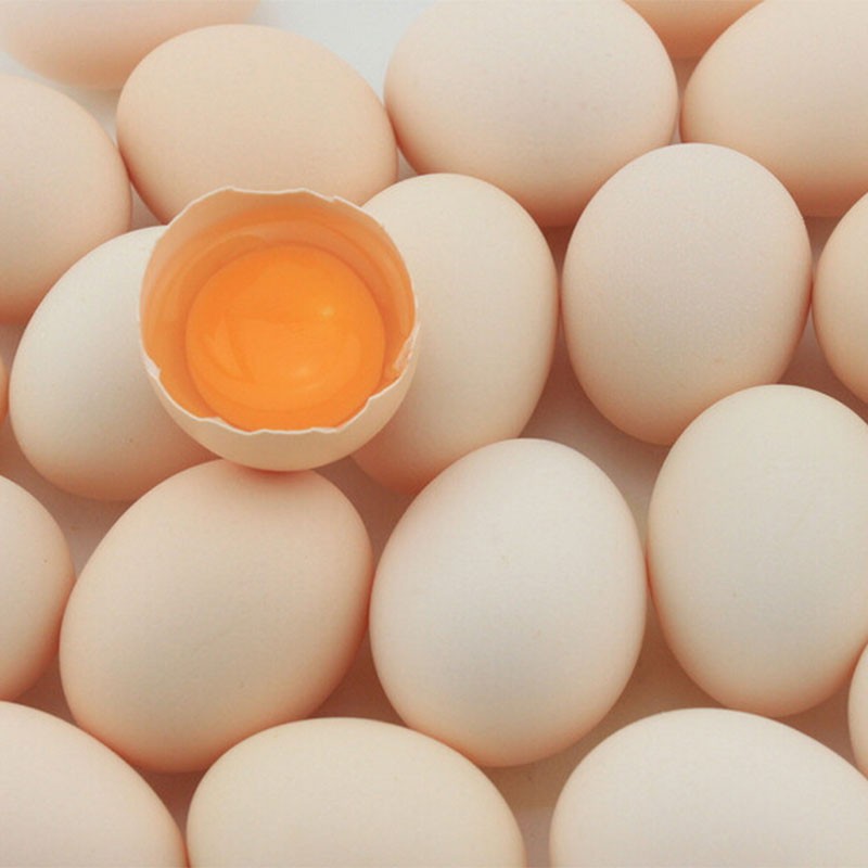 高库存+低补货鸡蛋期货盘“近弱远强”
