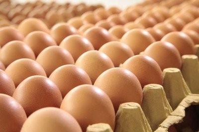 鸡蛋价格的上涨将成为一种固定趋势
