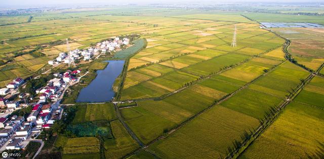 农业和农村事务部:2021年，中国将建设1亿亩高标准农田