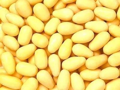 在高产的背景下，能否出口和风化炒出优质豆类和优质国产豆粕？
