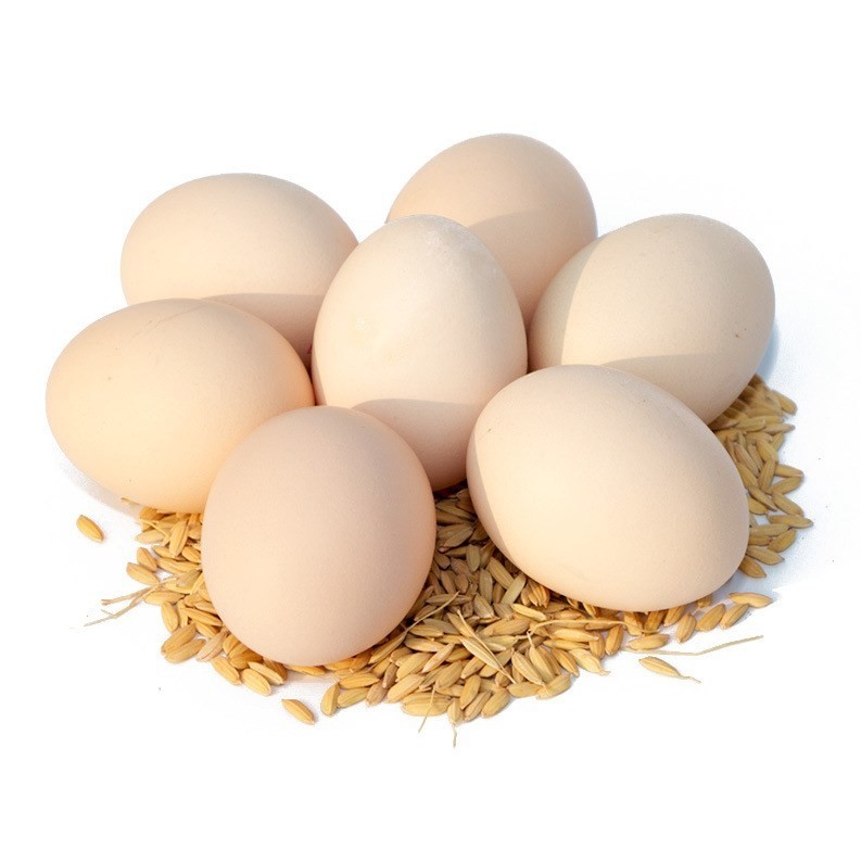 鸡蛋价格可以预计在第三季度蛋鸡的库存平衡