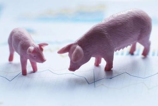 机构:下半年生猪整体价格可能呈现W型走势
