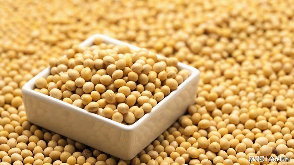 第二季度充满了不确定性，中国买家购买了更多巴西大豆

