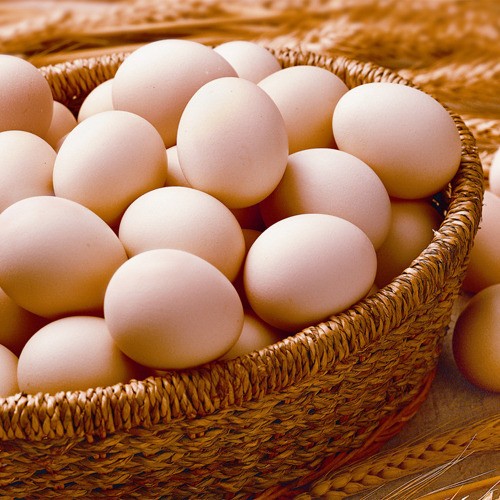 8月20日，CFT鸡评论称，鸡蛋价格继续温和上涨，白羽鸡价格继续走强
