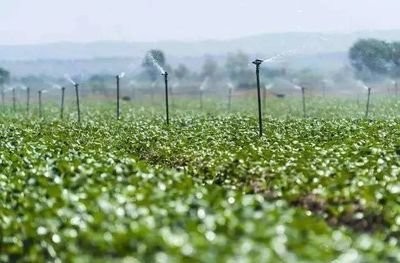 国家四部门推进农业水价综合改革
