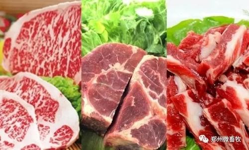 CFT猪评:重新增加储备肉需求的增加能支撑生猪价格吗？
