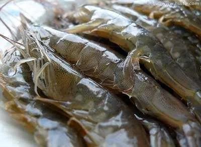 虾产量低，价格比往年高得多
