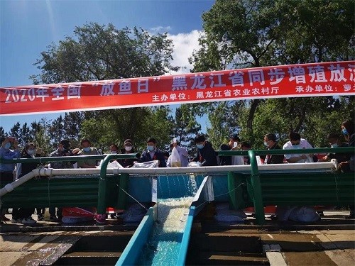 2020年，“鱼日全国发布”黑龙江扩散发布活动在洛北县举行
