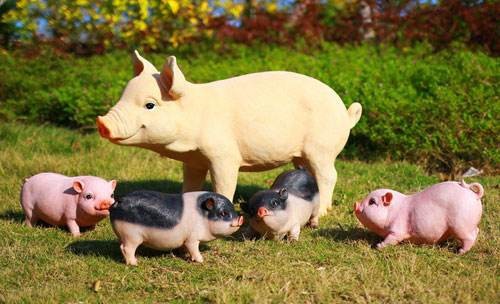 你知道养好母猪的两个重要因素吗？
