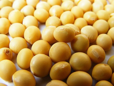 中国海关:4月份中国大豆进口同比增长11%