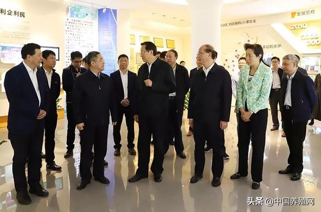 中国育种网独家报道:农业和农村事务部部长韩长福称赞正邦集团“扩大生产，保证供应”