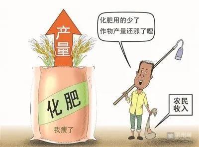 惠农政策的“大礼包”送出了农业效益,农民收入逐步增加