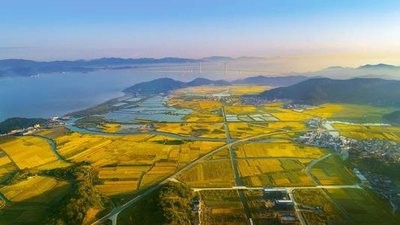 实施土地整治以来，四川省新增有效耕地面积超过3万亩
