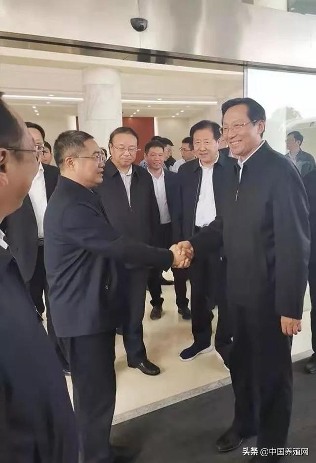 中国育种网独家报道:农业和农村事务部部长韩长福称赞正邦集团“扩大生产，保证供应”