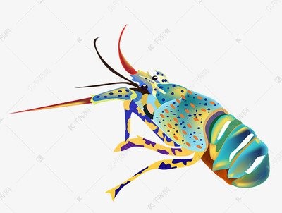 抓稀有七彩龙虾是怎么回事?世界上抓到了哪些稀有的龙虾?