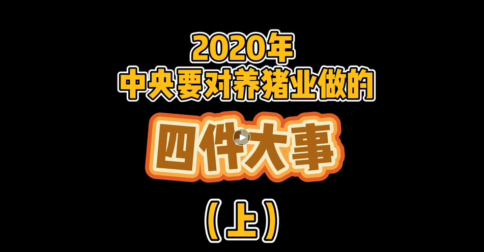 《鸡西观察》专栏:2020年中央政府对养猪业要做的四件大事(一)
