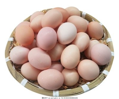 9月9日，CFT鸡评论称，鸡蛋继续上涨，预期涨幅依然有限。白羽鸡的价格继续回落
