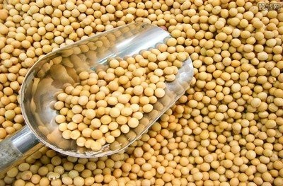 中国订购百万吨大豆为什么一定要买美国农产品？
