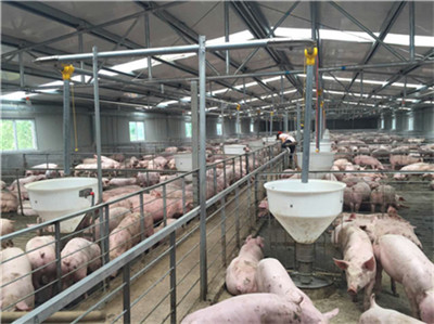 海关总署:11月中国进口猪肉23万吨，同比增长151.2%