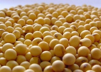 阿根廷大豆价格上涨，离岸价上涨
