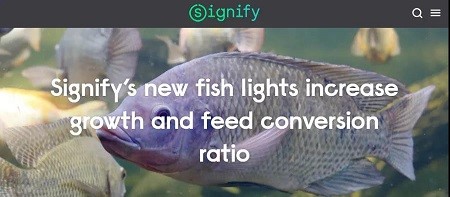 结果表明，发光二极管照明能促进罗非鱼的生长，降低饲料系数