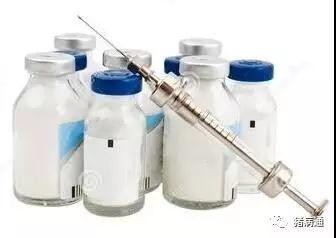 猪接种口蹄疫疫苗后会产生压力。兽医支持！
