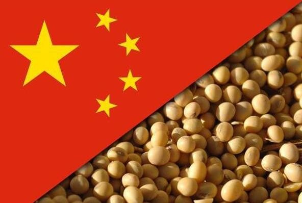 专家:中国不缺大豆，警惕国际资本投机
