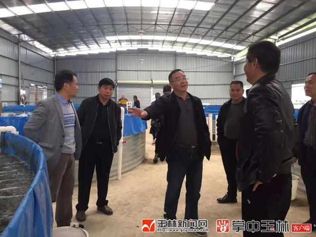 广西玉林市富民:一个陆基圆形池塘可以养5万条鱼