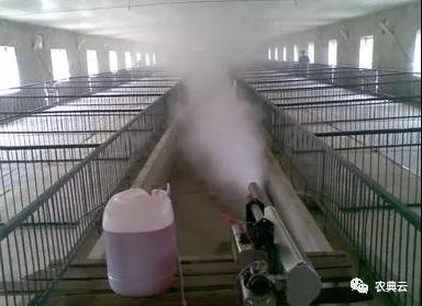 消毒是提高猪场稳定性的防护墙。怎样才能最大化消毒效果？