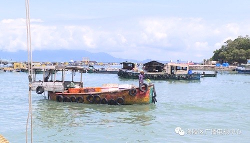 休渔期:大热天广东省闸坡的鱼量为8万斤
