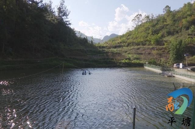 贵州平塘:希望水中经济让群众年年有“鱼”
