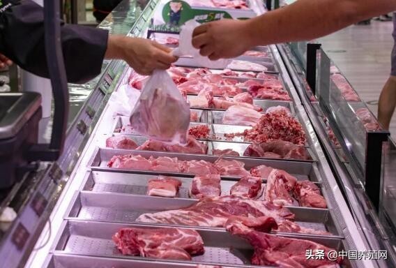 上周全国白猪肉出厂价小幅下跌，东北和华北小幅上涨
